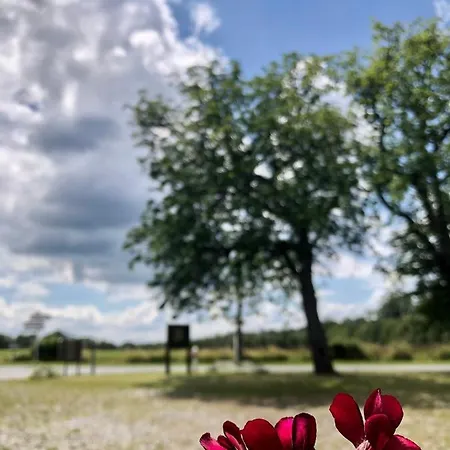 Les Du Valjoly 1 아파트 *