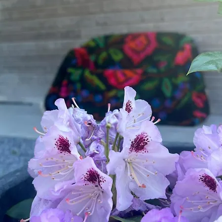 Lejlighed Les Du Valjoly 1 *