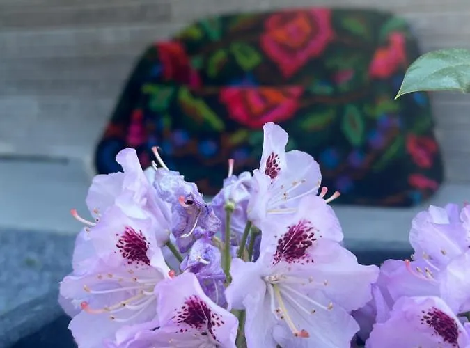 Apartamento Les Du Valjoly 1 *