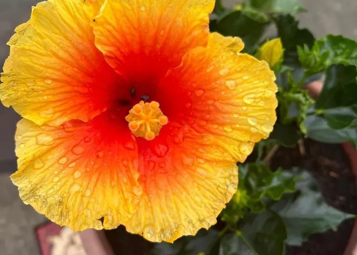 Les Du Valjoly 1 Apartamento